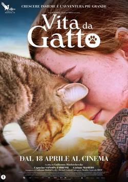 VITA DA GATTO
