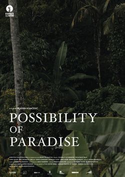 POSSIBILITY OF PARADISE