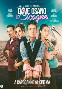 DOVE OSANO LE CICOGNE
